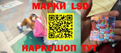 гидропоника Дубна