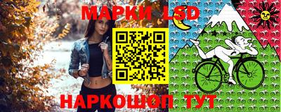 дмт Донецк
